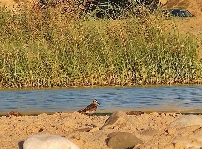 Sunset Апартаменты *