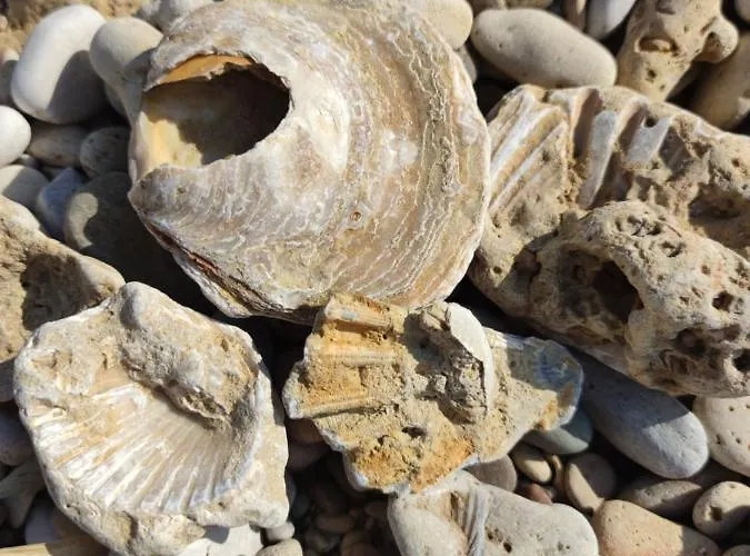 Sunset * Балестрате