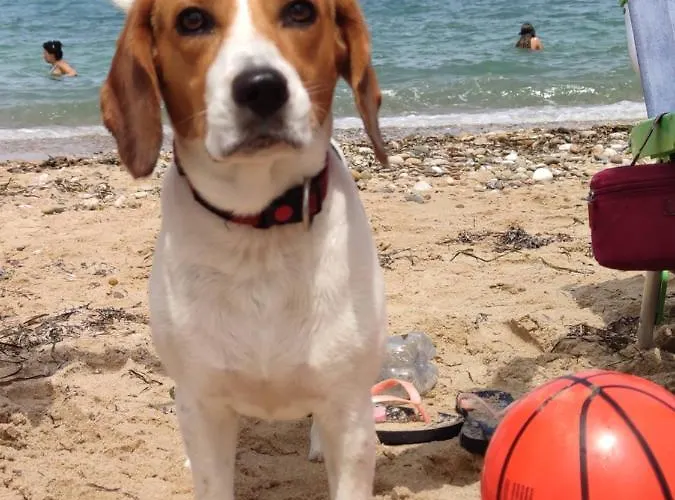 Апартаменты Sunset