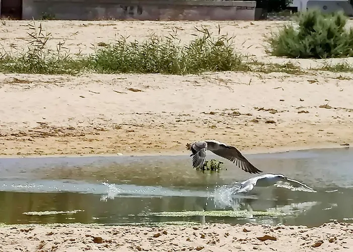 Sunset Апартаменты